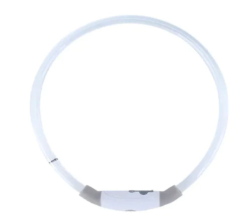 LED halsband - för din hunds skäkerhet