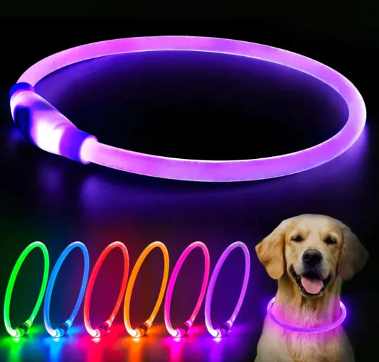 LED halsband - för din hunds skäkerhet